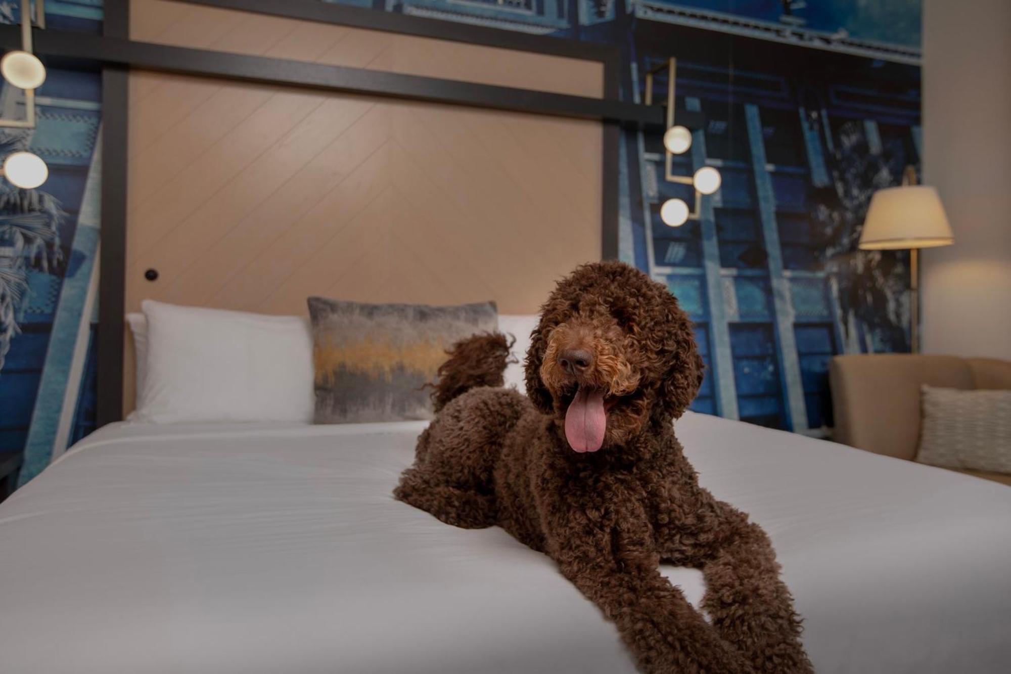 Hotel Indigo Jacksonville-Deerwood Park By Ihg Kültér fotó